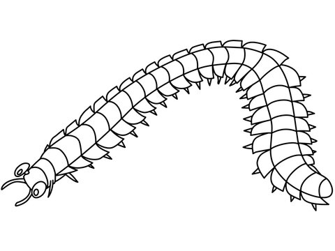 石炭紀のアースロプレウラのデフォルメイラスト