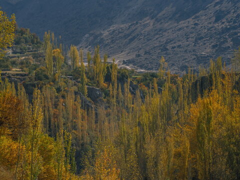 Autumn Views of Hoper, Nagar Pakistan