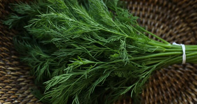 Bunch of fresh dill in wicker basket, closeup. Camera spinning