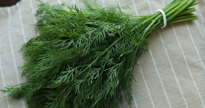 Bunch of fresh dill on striped napkin, closeup. Camera spinning