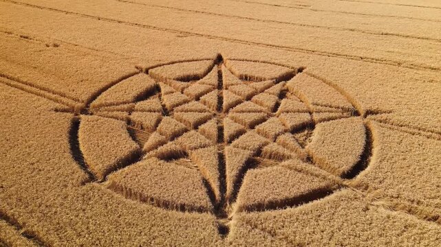 Mysterious Geometric Crop Circle in Golden Wheat Field Aerial View