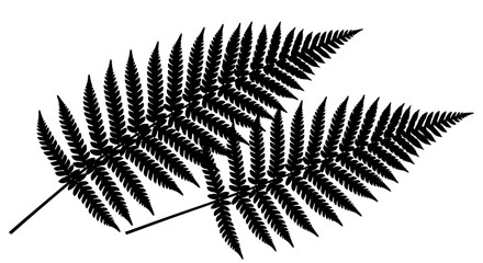 Black fern leaf, silhouette, vector illustration, botanical icon, leafy foliage © Super