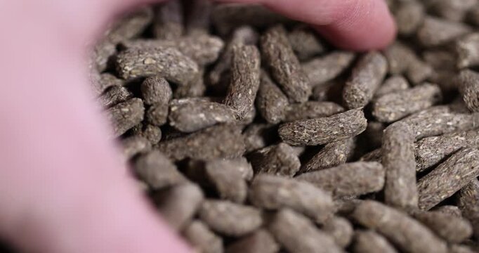 Herbal food for domestic rodents is brown, dry food in the form of small granules is evenly distributed over the surface.