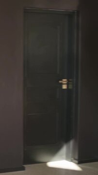 Vertical video: Panning camera moving from patio into foyer, revealing dark doors and fiddle-fig