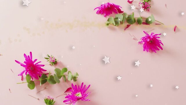 On play, flowers holding, star confetti appearing, drifting, fading across pink surface for motion