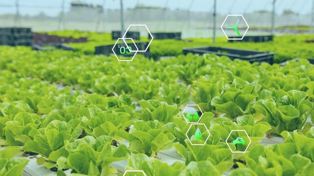 On start hexagon icons appearing above hydroponic bed, floating and clustering for crop monitoring
