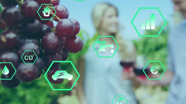 Camera pulling back grapes up front couple sampling wine assessing quality green hex icons floating