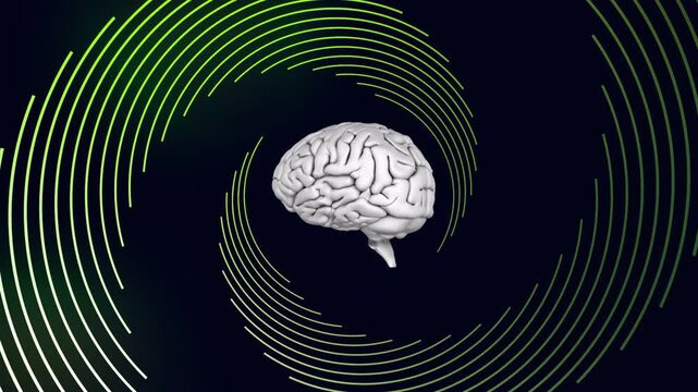 3D brain model rotating while tight spiral forming and expanding outward to show neural activity