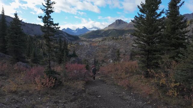 Backpacker Hiking Through Mountain Wilderness In Mount Assiniboine Canada