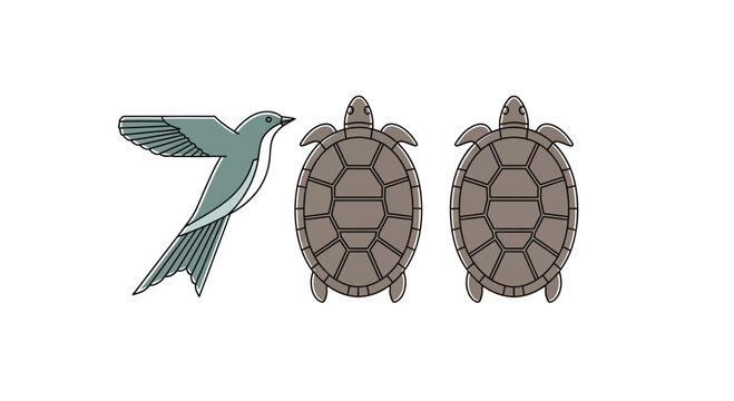 Bird and Two Turtles Illustration, Minimalist Style, Number 700