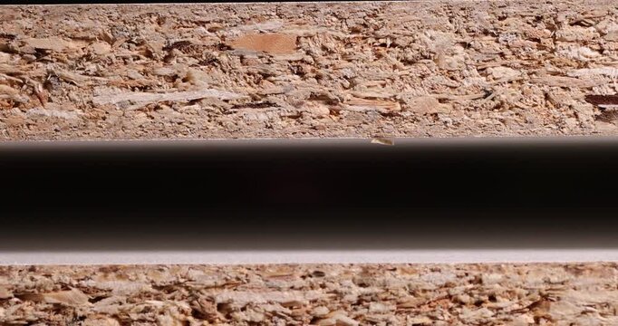 construction materials from a large amount of woodworking waste glued together and sawdust joined together, several boards from pine sawdust, side view
