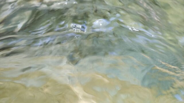 Clear mountain spring water bubbling up with natural stream sound and birdsong