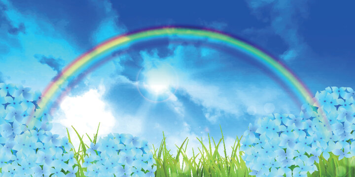 Bright Blue Hydrangeas Under A Vibrant Rainbow In A Sunny Sky