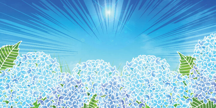 Vibrant Blue Hydrangea Flowers Under Radiant Sunny Sky Background