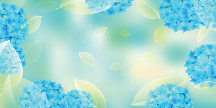 Elegant Blue Hydrangea Flowers Decorative Frame Background