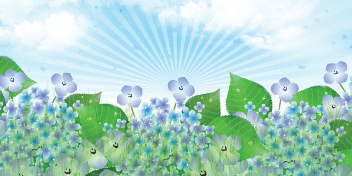 Beautiful Hydrangea Floral Garden with Soft Sunlight Rays Background