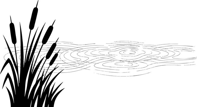 Minimalist bulrushes silhouette with water ripples illustration
