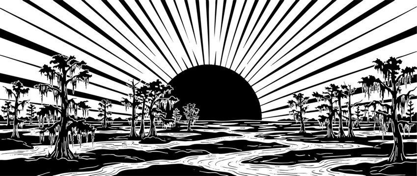 Black and white swamp landscape with cypress trees and rising sun