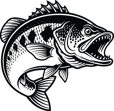Vintage Aggressive Fish Illustration with Sharp Teeth and Detailed Engraving Style Line Art