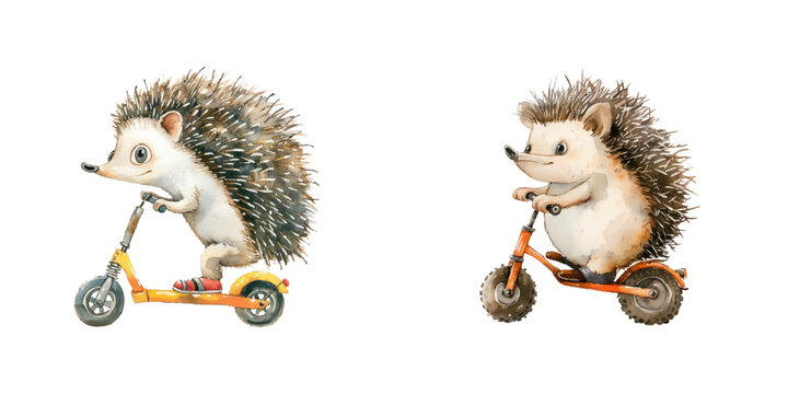 hedgehog riding scooter watercolor vector illustration
