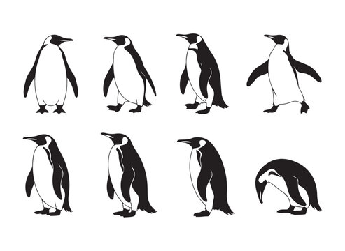 Minimalist penguin silhouette set showing different walking and standing angles for logo design projects.