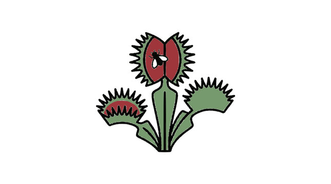 Venus Flytrap Flat Vector Illustration