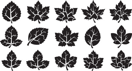 Obraz premium Black leaf icons, vector leaves, foliage symbols, 12 pcs
