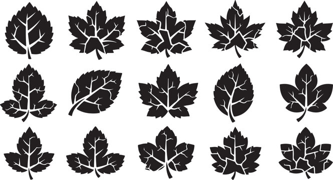 Black leaf icons, vector leaves, foliage symbols, 12 pcs