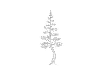 Elegant thin line drawing of a coniferous evergreen tree silhouette with evergreen © StockSynergy