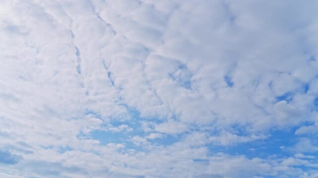 思考を巡らせる空：うろこ雲が流れる美しいタイムラプスと澄んだ青空