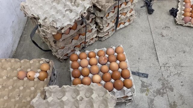 Top View of Fresh Chicken Eggs Stacked in Cardboard Trays at Market