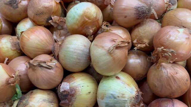 onions on the market