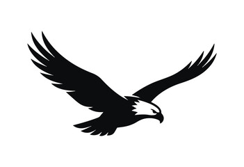 Fototapeta premium Eagle in flight silhouette. Flying eagle silhouette. 