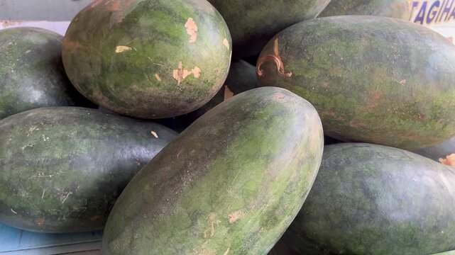 Harvested oblong dark green watermelons close up