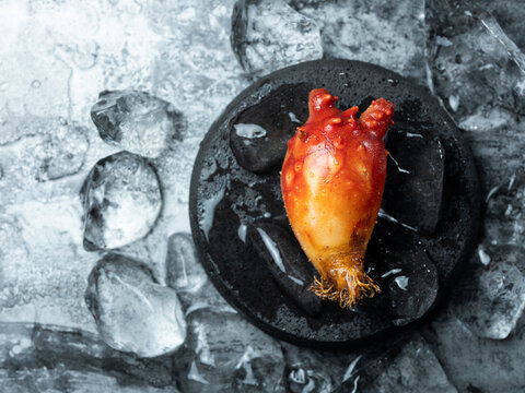 sea squirt ,seafood on a plate 