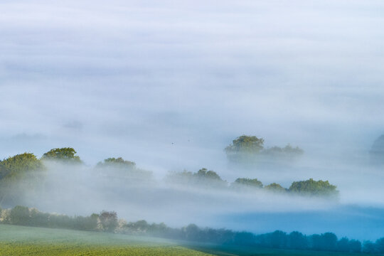 Aerial view of lush green fields and treetops emerging from a thick blanket of morning mist and fog Nuffield, Oxfordshire, United Kingdom.
