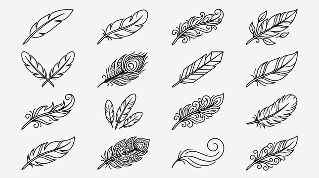 Collection of hand drawn decorative feather illustrations.