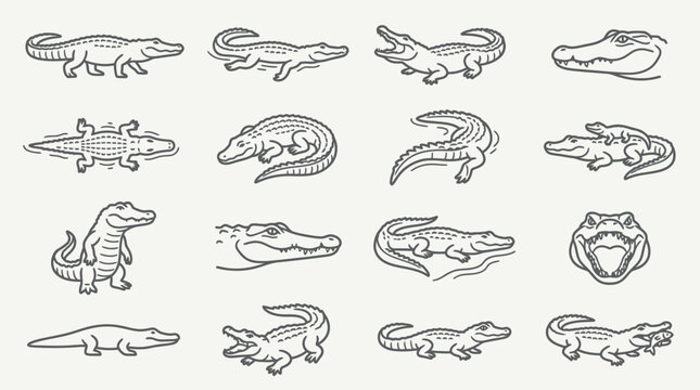 Set of hand drawn crocodile and alligator icons.