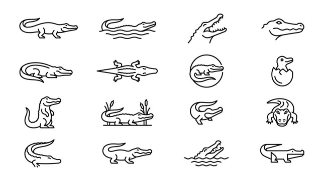 Set of alligator and crocodile icons in thin line style.