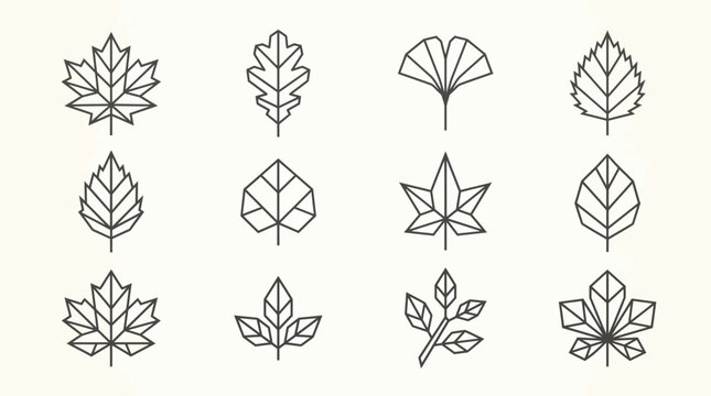 Set of minimalist geometric leaf icons in outline style.