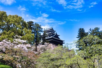Fototapeta premium Sakaiminato, Japan