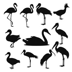 Naklejka premium Black silhouettes of various birds.