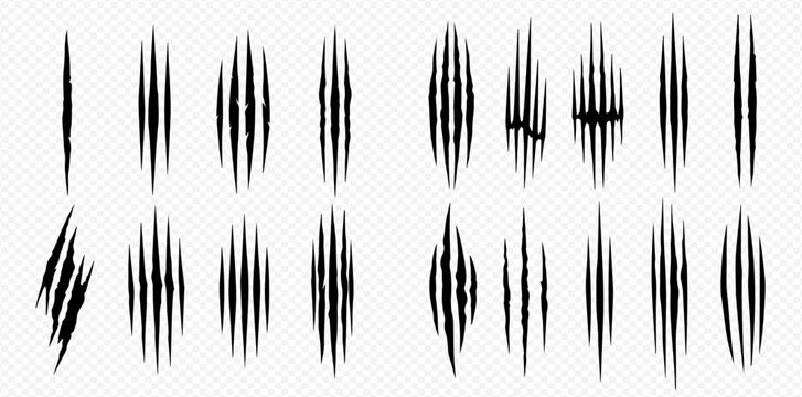 Set of animal claw marks, scratches, and rips isolated on transparent background, symbolizing aggression and danger.
