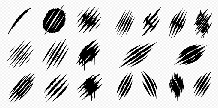 Set of black claw marks, animal scratches, and grunge elements on a transparent background, vector illustration.