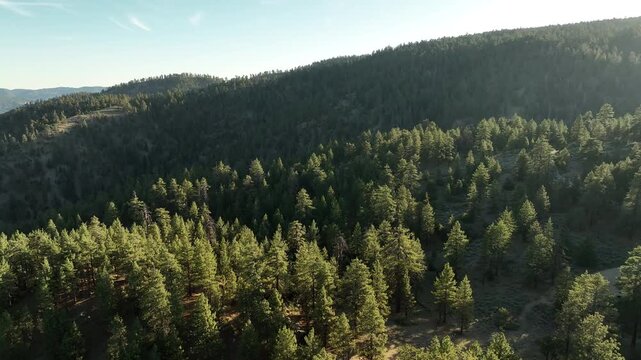 Southern California Mt Pinos Aerial Shot of Los Padres Forest Forward California USA