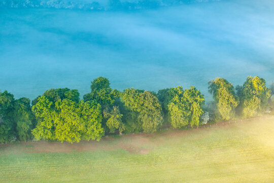 Aerial view of a row of lush green trees bordering a field shrouded in thick morning mist and golden sunlight in Nuffield, Oxfordshire, United Kingdom.