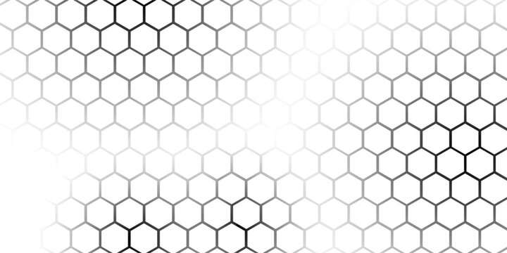 white and grey technology hexagonal abstract background. Abstract gradient hexagon digital technology background. Vector abstract graphic design banner pattern presentation background web template.
