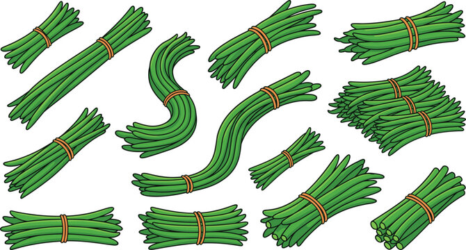Fresh Green Bean Vector Collection with Bundled Vegetable Illustrations, Organic Farm Produce, and Healthy Food Design Elements