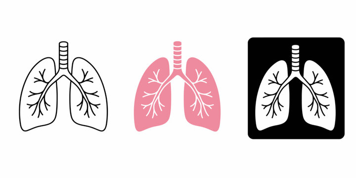 The illustration displays human lungs in various styles and colors side by side on a white background with trachea and bronchi visible