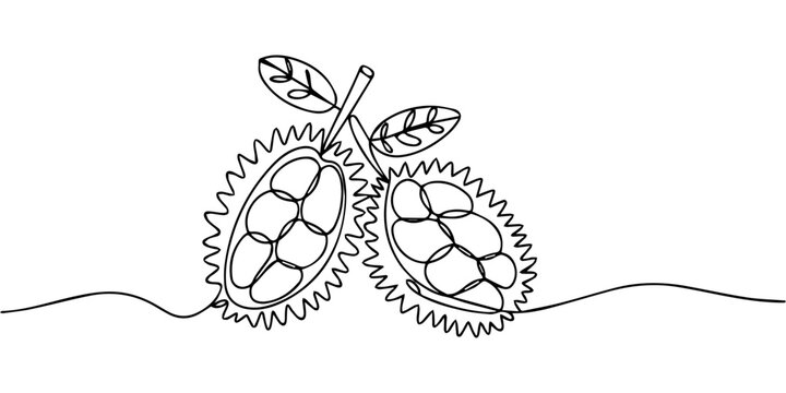 durian fruits  continuous one line drawing, durian fruit in one solid line illustration, One continuous line illustration of an Durian fruits, isolated on white background